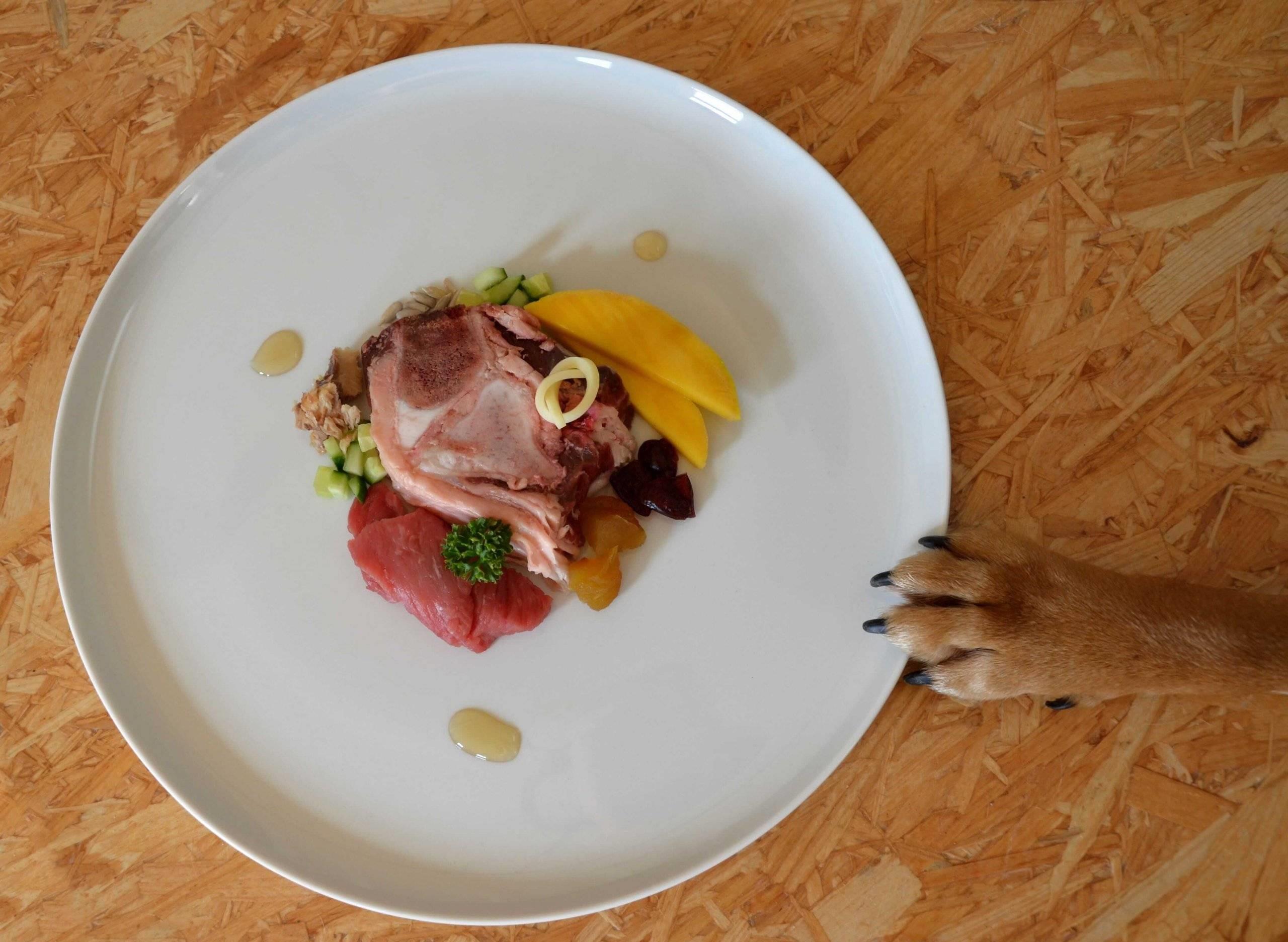 宠物腹泻诊断思路,宠物腹泻处方