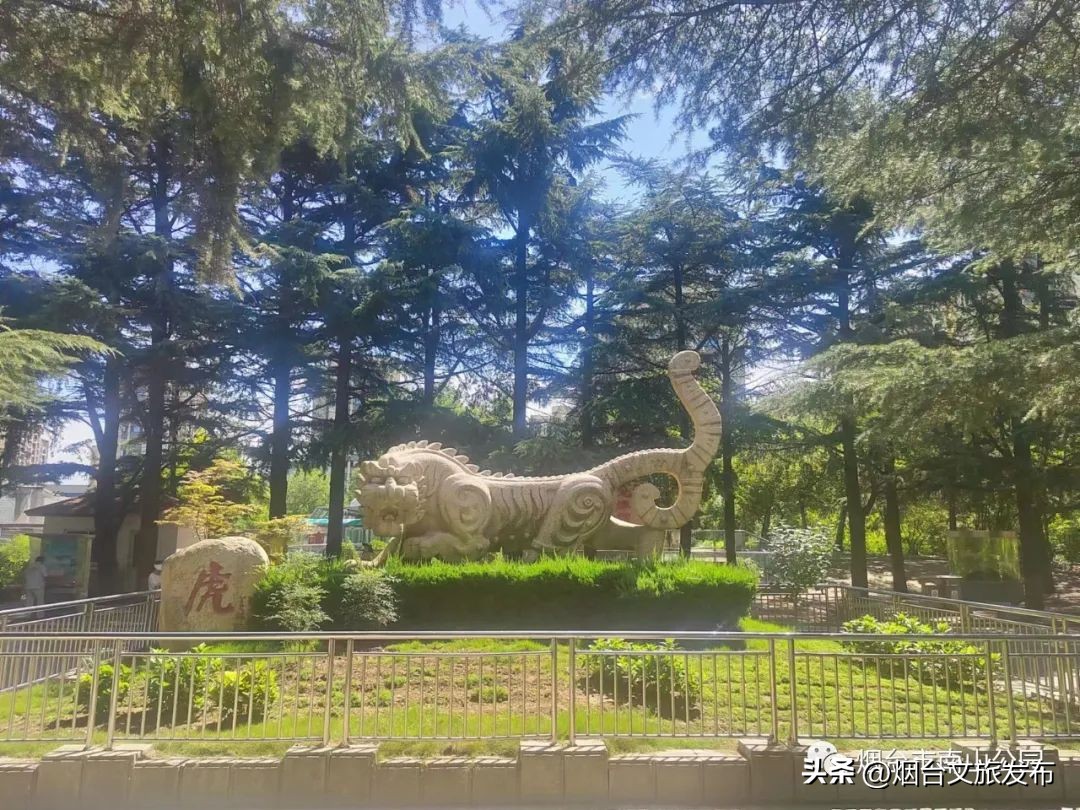 【玩转烟台】秋高气爽的日子里，来南山公园享受一段秋日慢时光