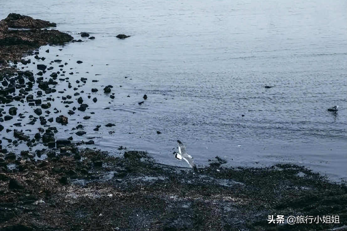 夏日海边微醺氛围感,滨城风光秀丽浪漫气息爆表