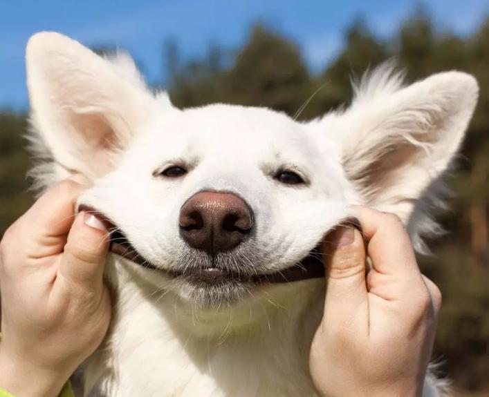 电脑打印最后一排乱码如何解决,电脑打印为什么是黑的