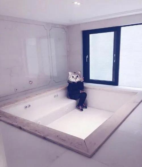 张庭家照片,张庭豪宅浴缸