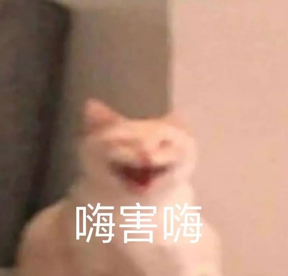 都这么爱叫他“大师兄”，真的不是内娱缺德文学吗？