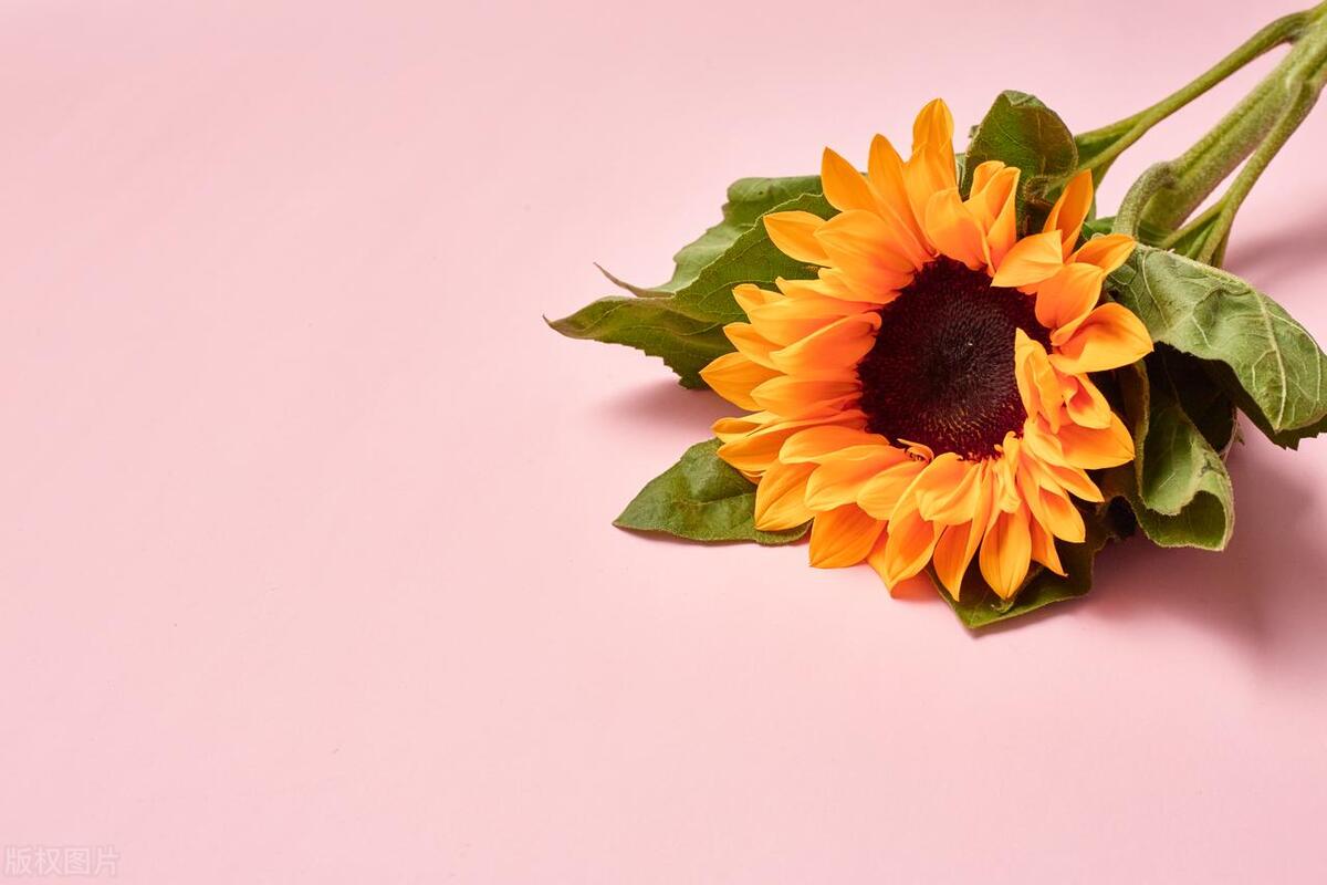 老公帮小三以后下场,老公为了小三对我冷暴力