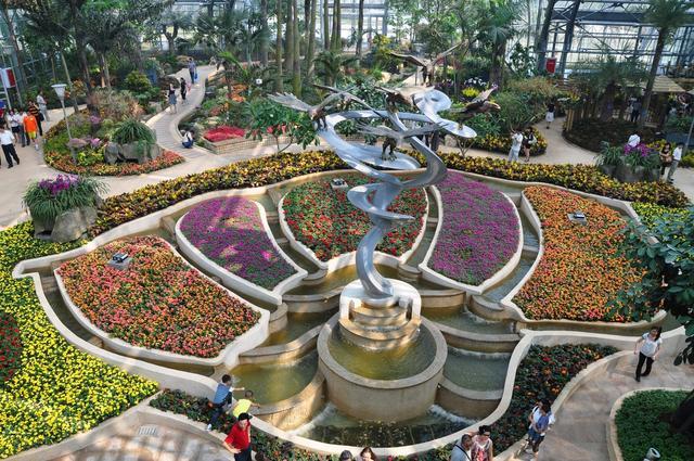 一月山茶花哪个地区最美,赏花山茶花