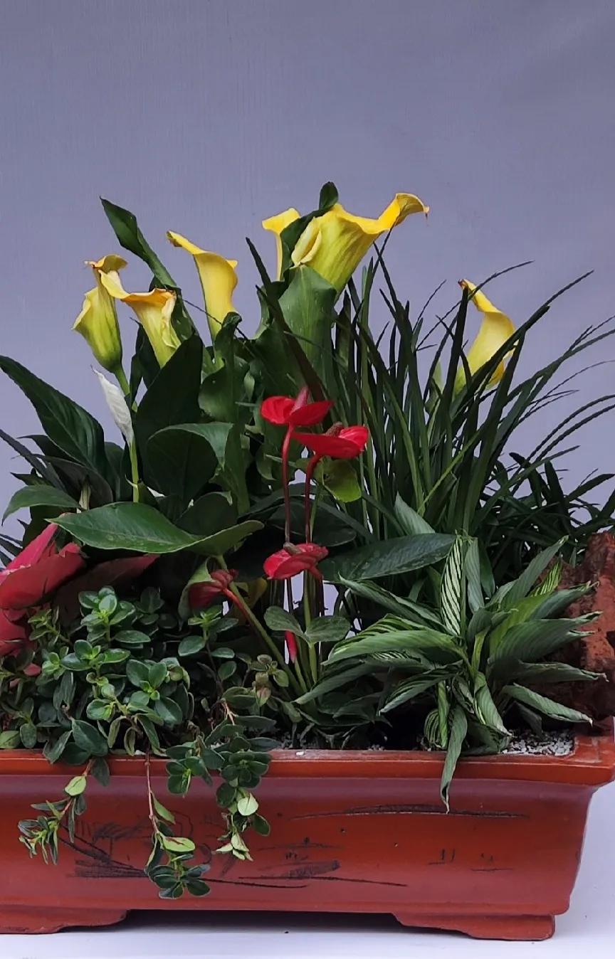 天水昌盛食品清水分公司,天水市工厂招聘大量普工