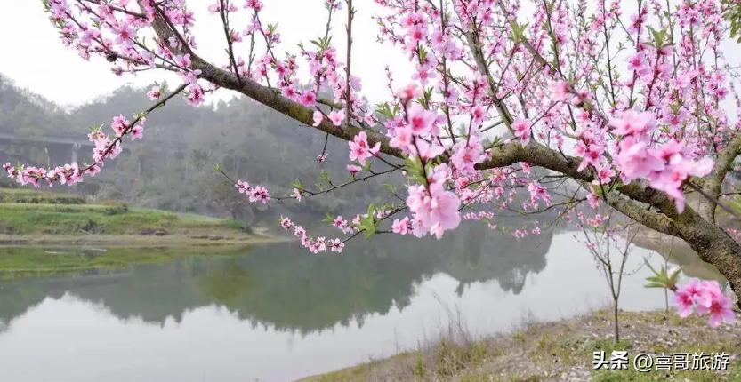 宜宾江安县旅游景点,宜宾市江安县旅游有些什么地方