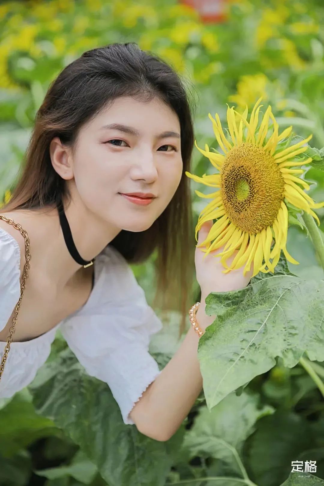 深圳3月14个赏花胜地全部免费,深圳清明节踏青赏花好去处