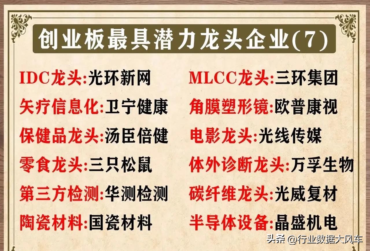 创业板龙头股票有哪些,今天创业板的十大龙头股