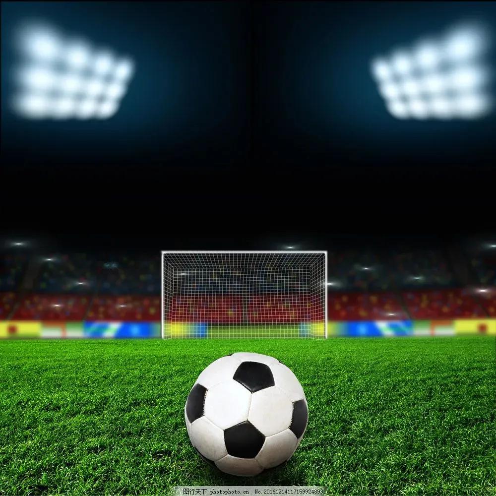 队友业余爱好,队友的宝藏库