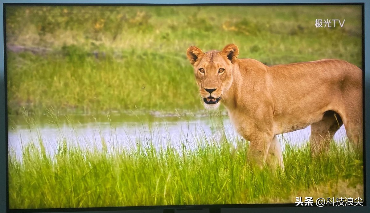 tclq10h浠嬬粛瑙嗛,tclq10g瑙傚奖鏁堟灉