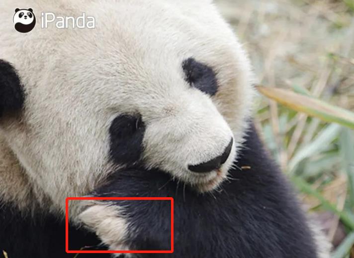 中国十大顶流女明星,顶流女明星穿越电视剧