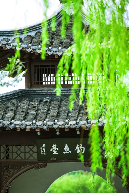 咏柳唐贺知章的古诗,咏柳贺知章教学实录