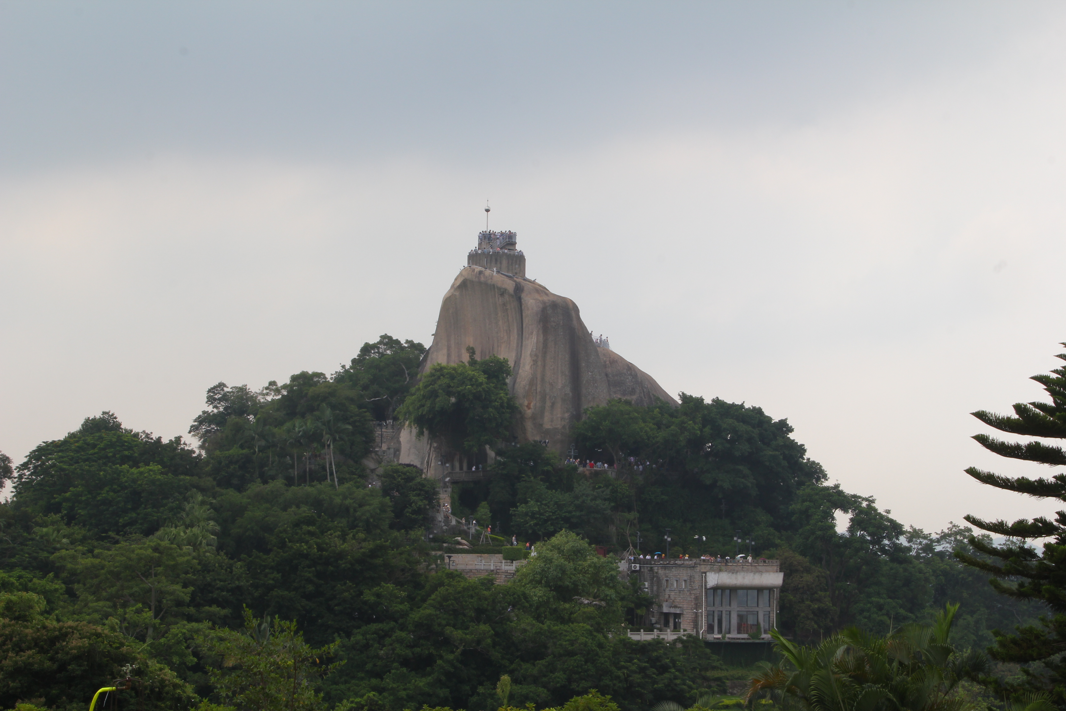 厦门一座来了就不想走的城市,去鼓浪屿不想逛太久