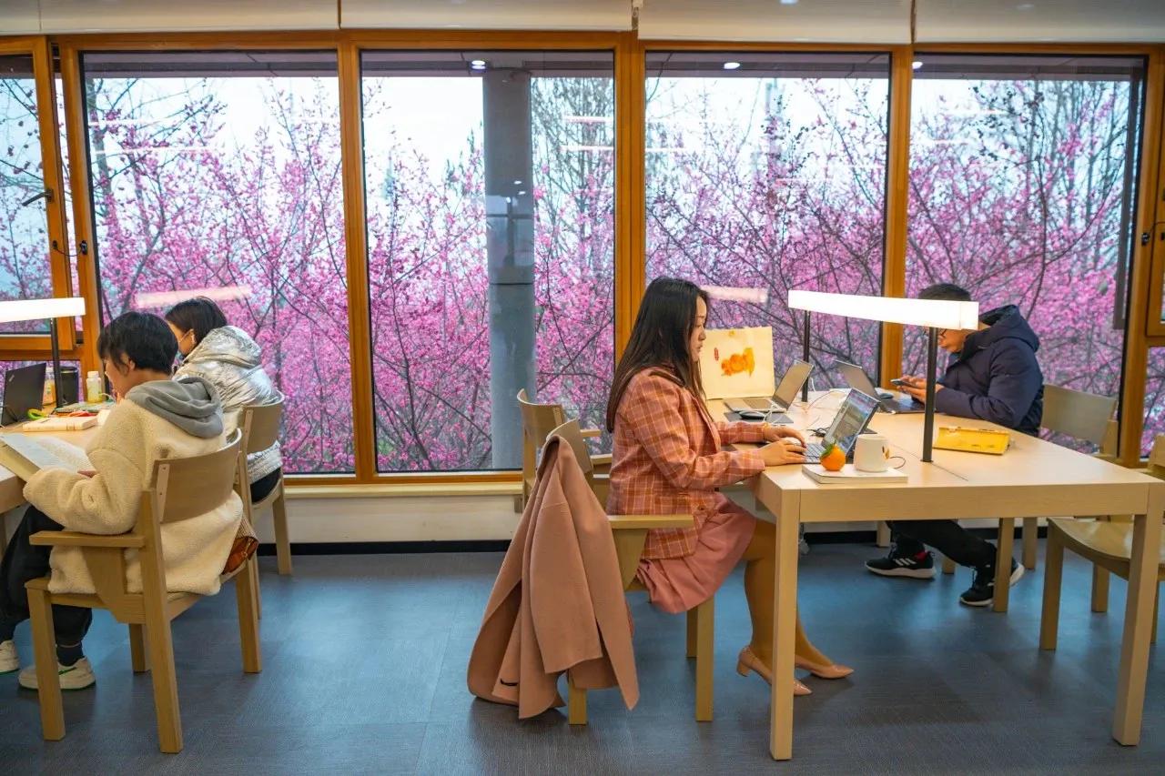 重庆最美鸿恩寺,重庆江北区图书馆鸿恩寺分馆