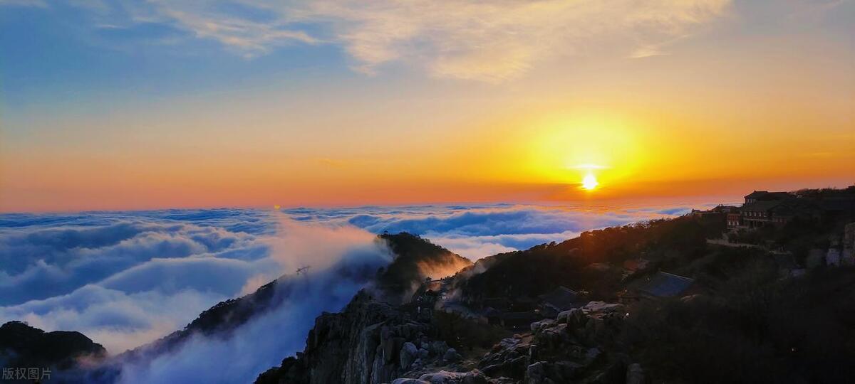 我，在上海做会计，决定回家乡种蔬菜，两年后我的收入达到了60万