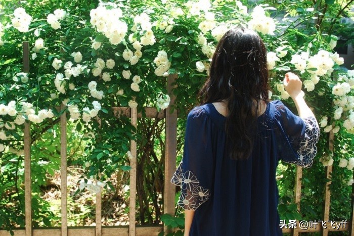 长期单身的女性身体里有什么,长时间单身女人会有什么问题