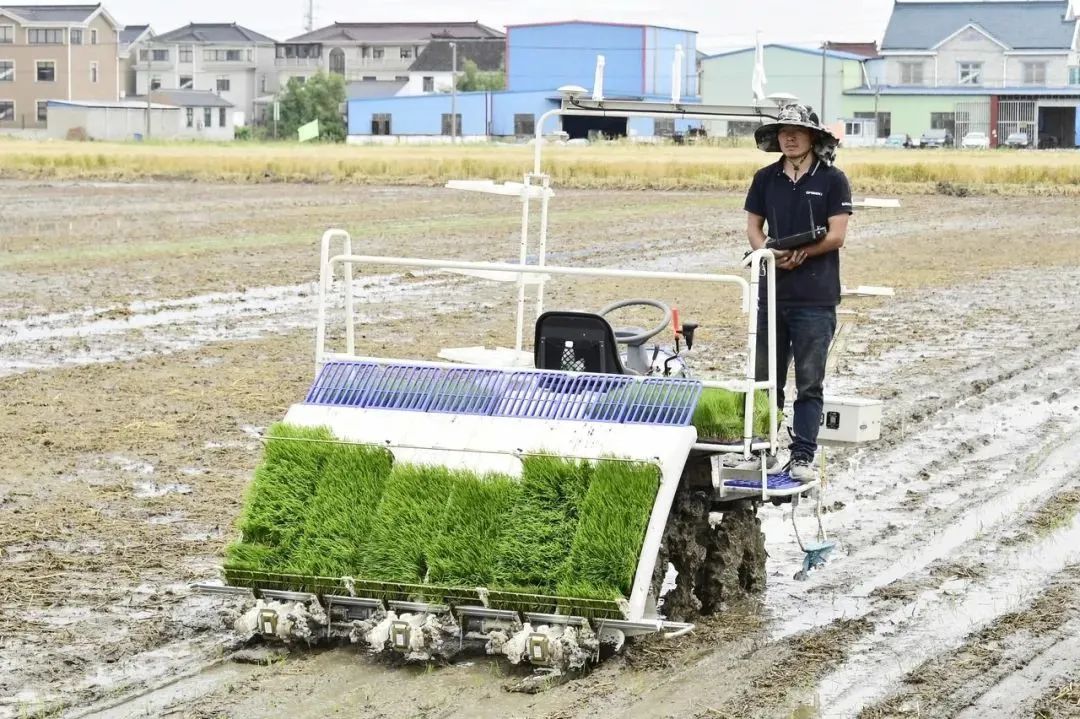 新华社幸福感城市,新华社民生幸福感
