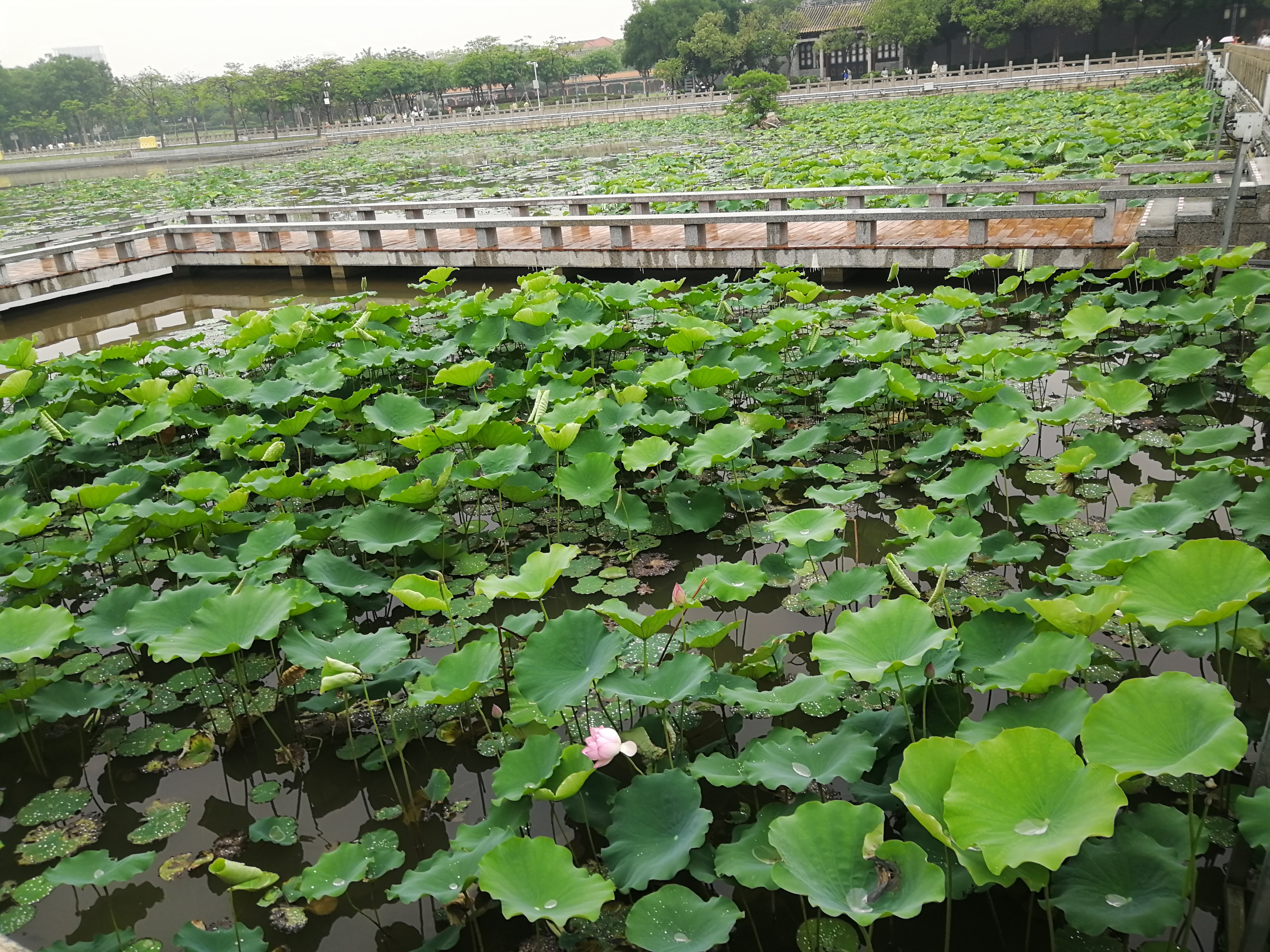 打卡广州地铁7号线,打卡广州最美7公里