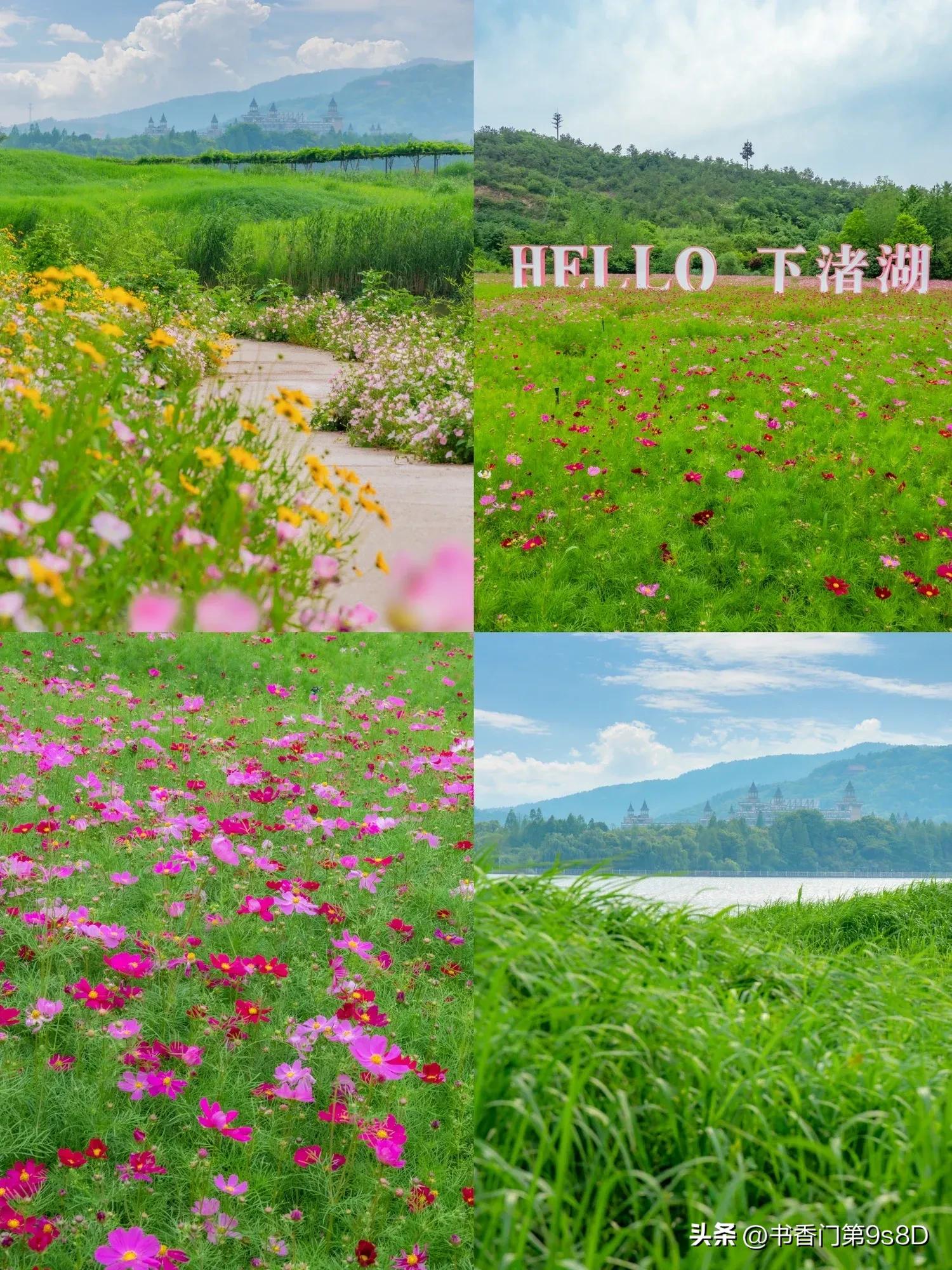 美丽的田野原唱,美丽的田野第32集