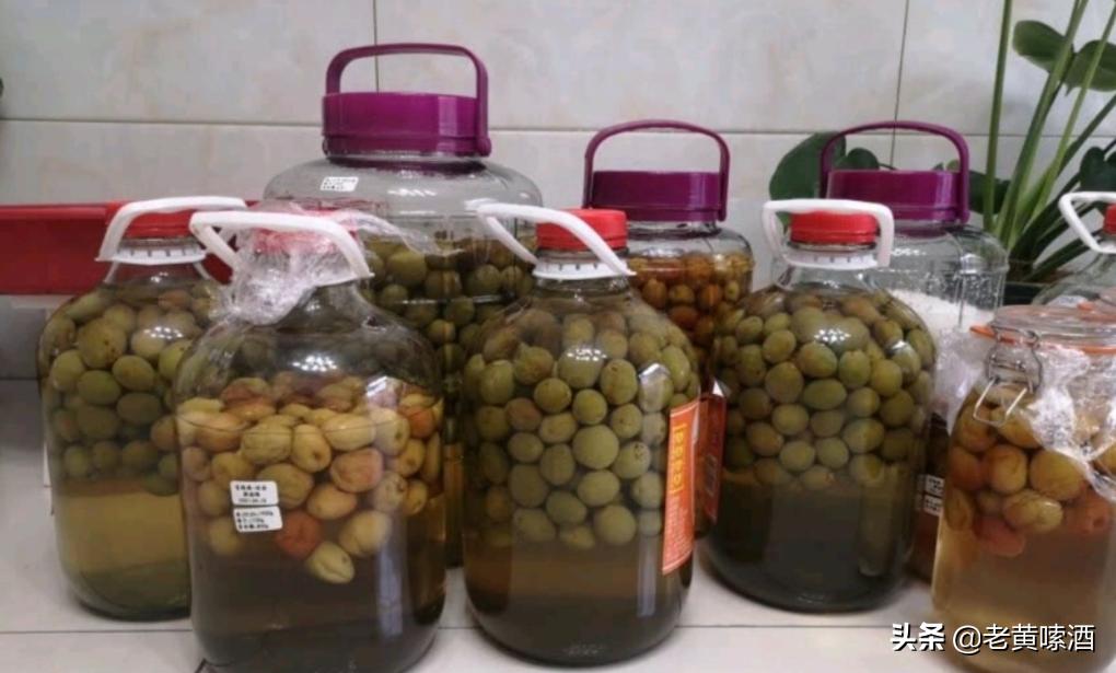 蓝瓶52度红星二锅头泡酒行吗,泡酒用红星二锅头绿瓶还是蓝瓶