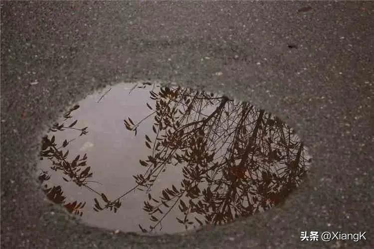 一天一成语:白水鉴心