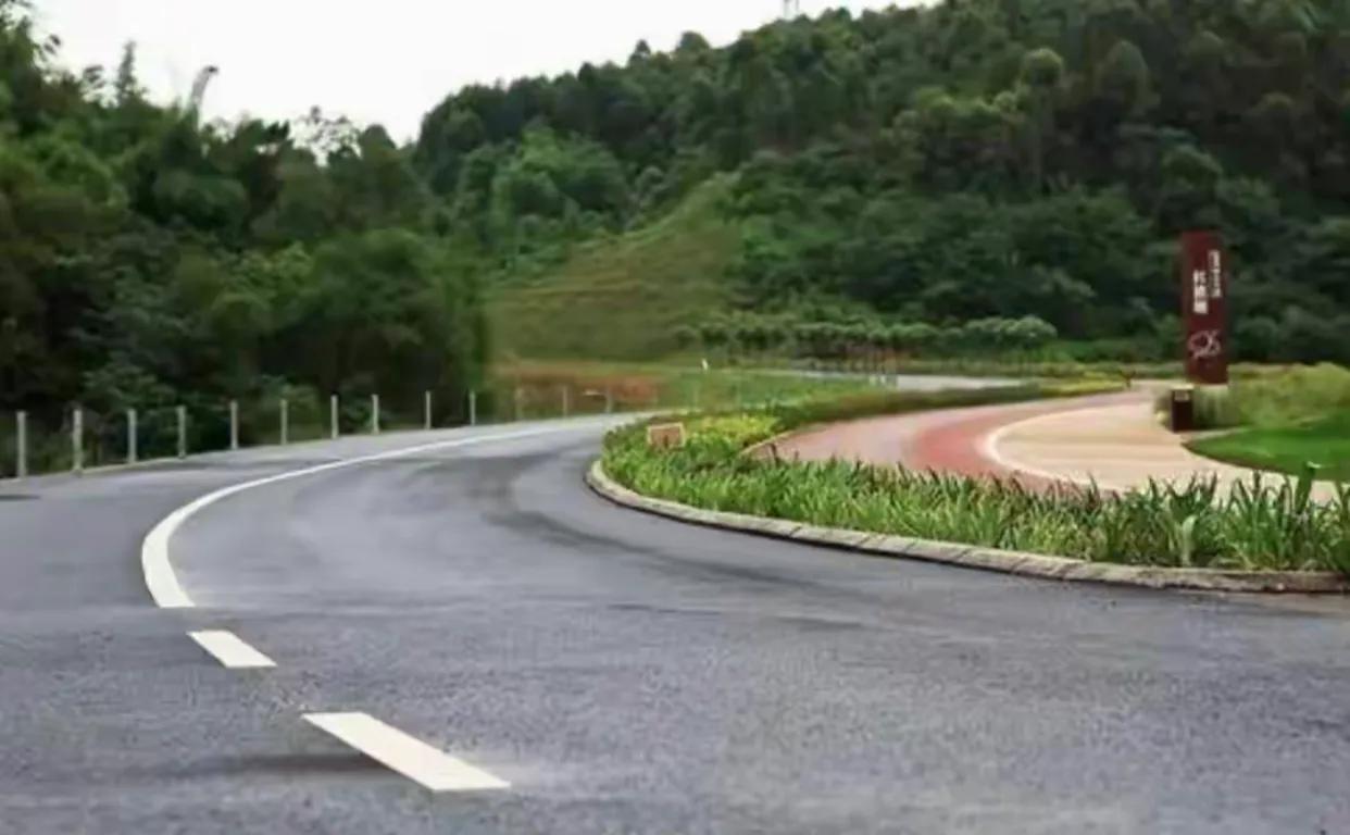 四川乐山女子夜跑遇害案怎么破案,乐山女教师夜跑遇害案一审判决