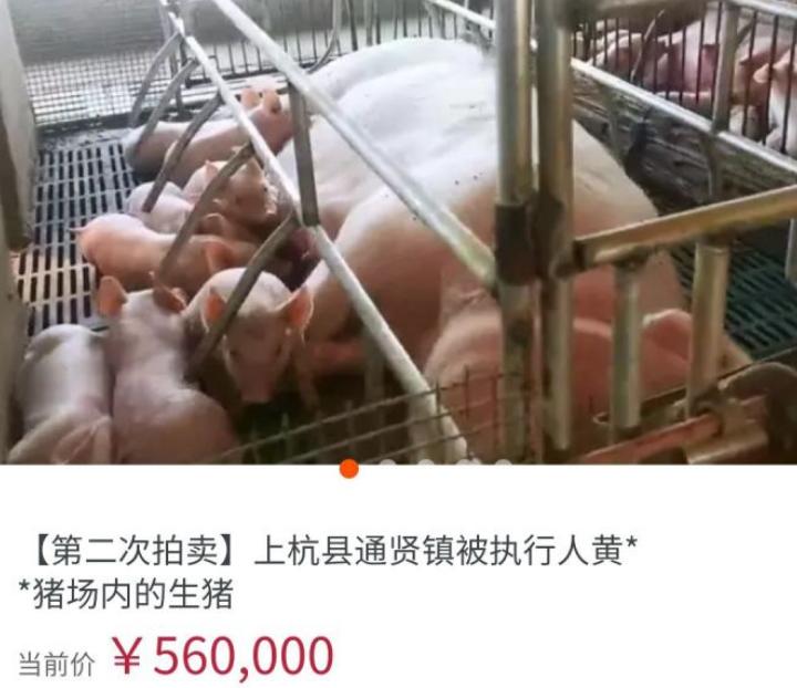 如何在闲鱼正确的捡漏,在闲鱼如何捡漏不被骗