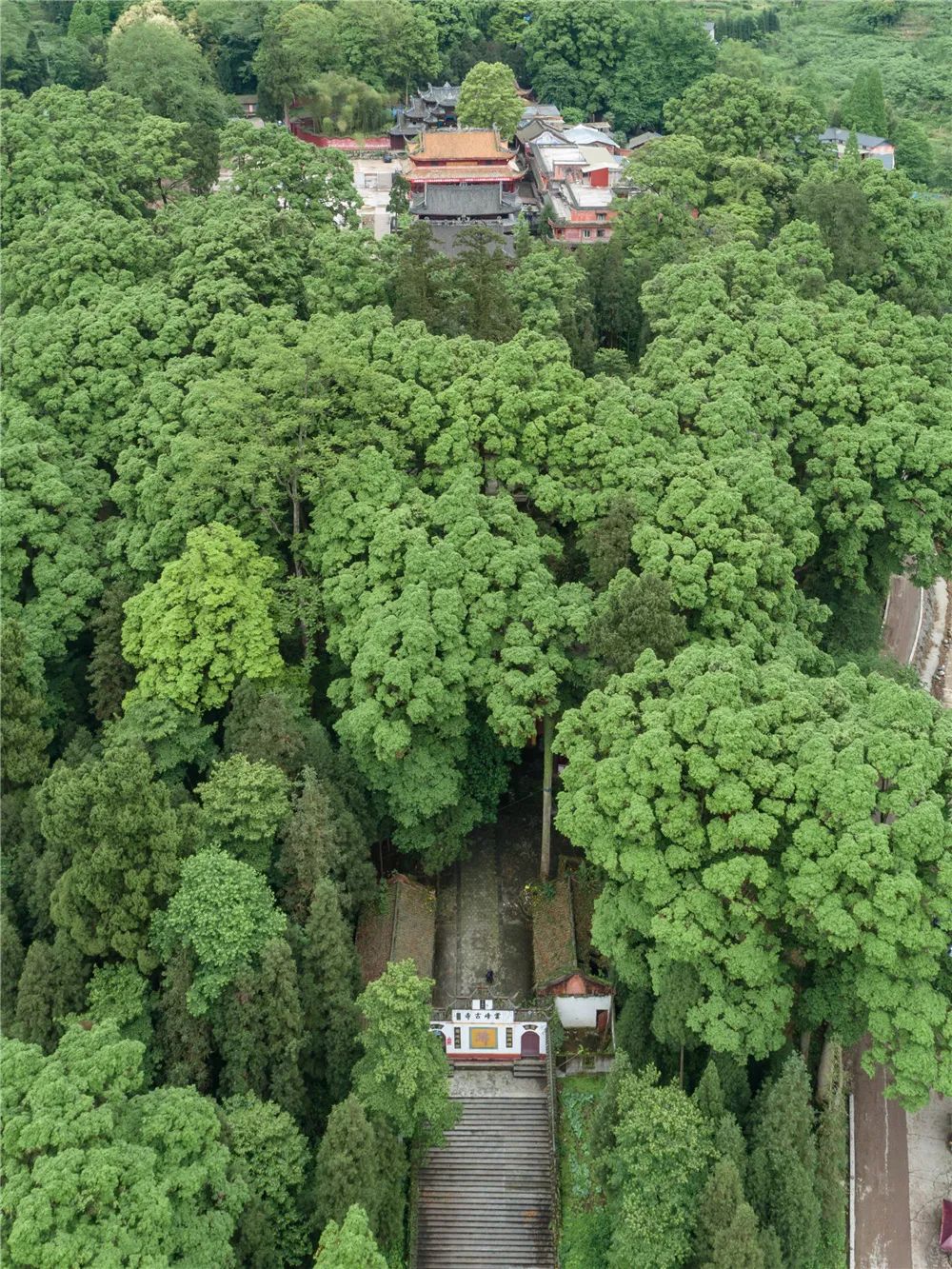 雅安暑假游攻略最佳线路,雅安必玩