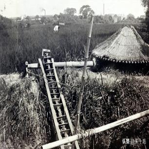 *光脱**犹太人女人衣服，集体*杀屠**，老照片再现变态的纳粹德国！