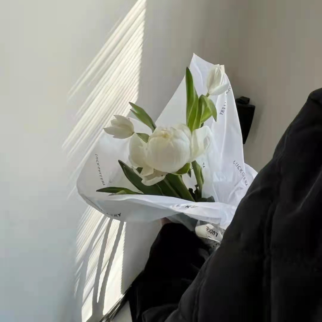 高级感文案小众惊艳短文,小众惊艳高级的朋友圈文案