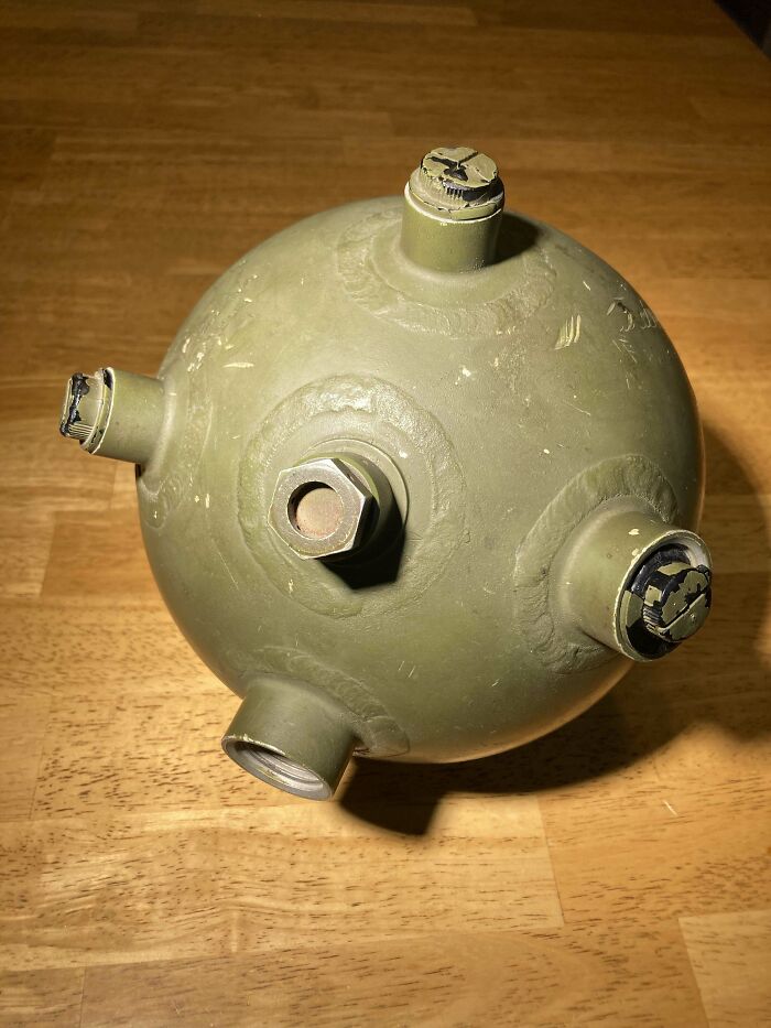 鉴定网上的奇特生物,鉴定神秘生物视频