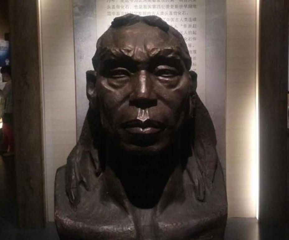 人类的祖先真的是亚当和夏娃吗,人类进化论的化石证据