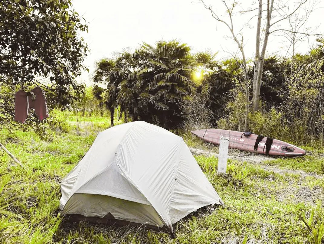 宠客优品科技有限公司,宠客