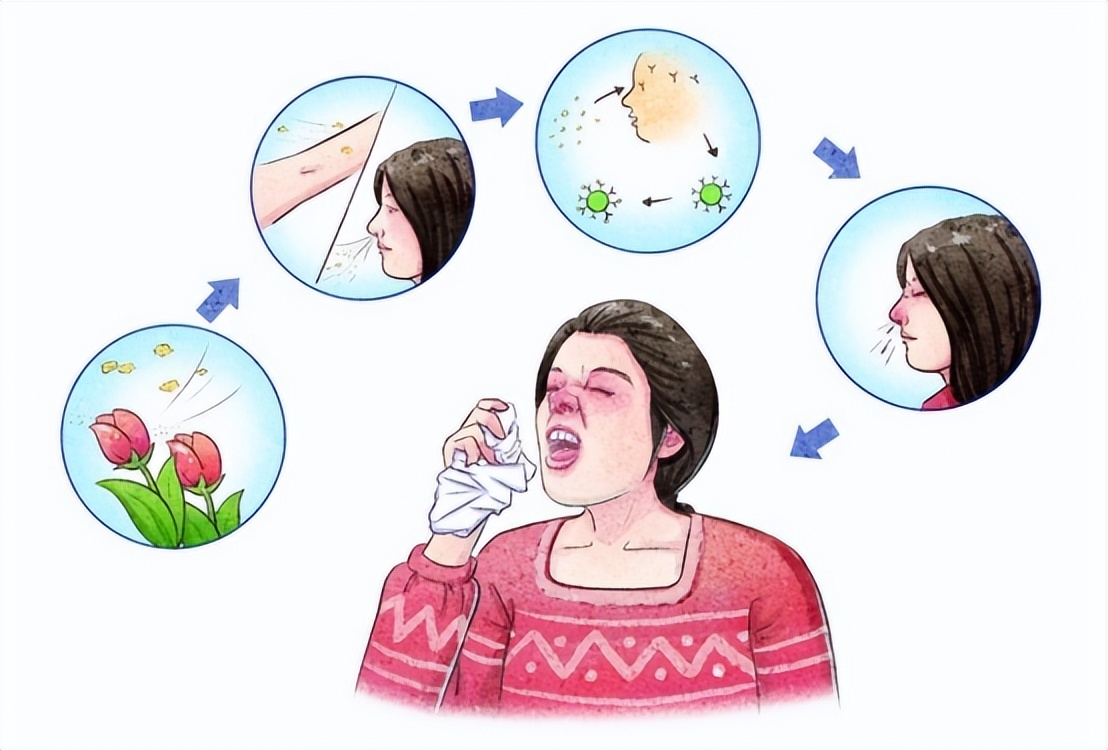 患有鼻炎别急着治，可能是脾有了问题，盲目治疗不可取