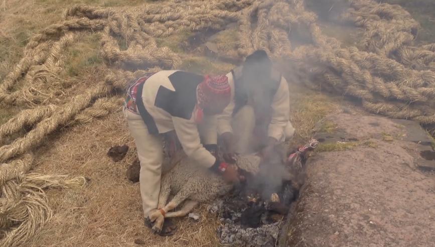 1000人用野草编织30米长的吊索桥，三天完工，每年都要换一次新桥