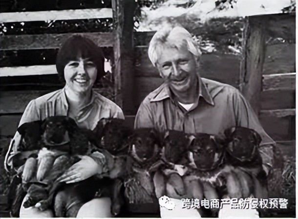 如何认定文字作品抄袭侵权,图案版权侵权案例