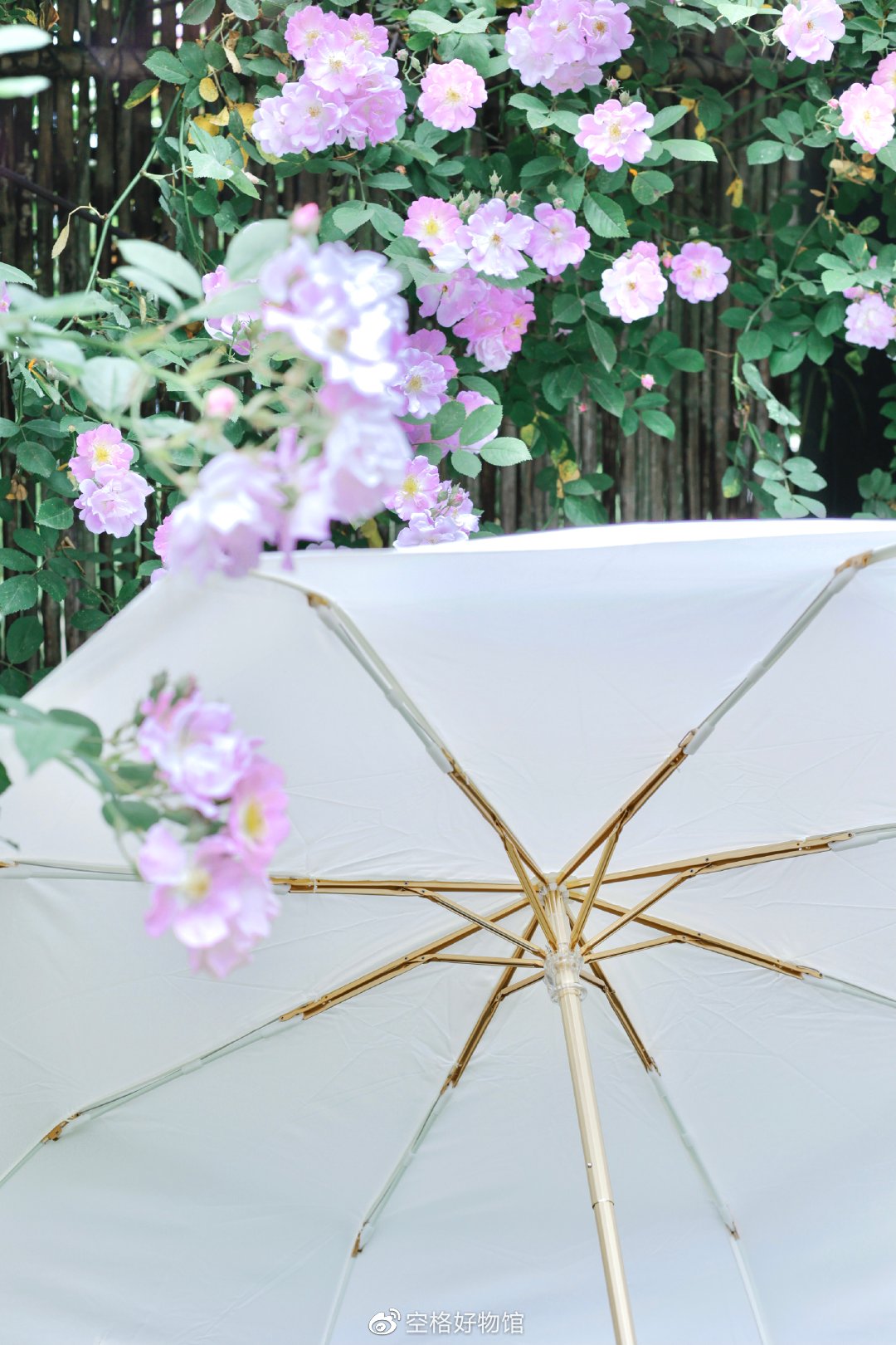 史上最惊艳的伞,防晒效果好又结实的伞推荐