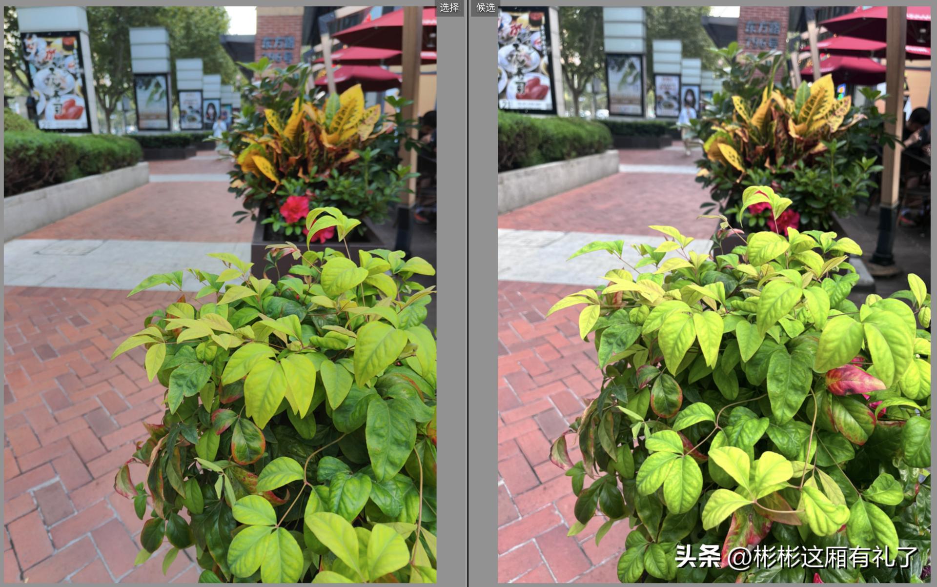 一加acepro与苹果13哪个反应快,一加acepro和苹果13