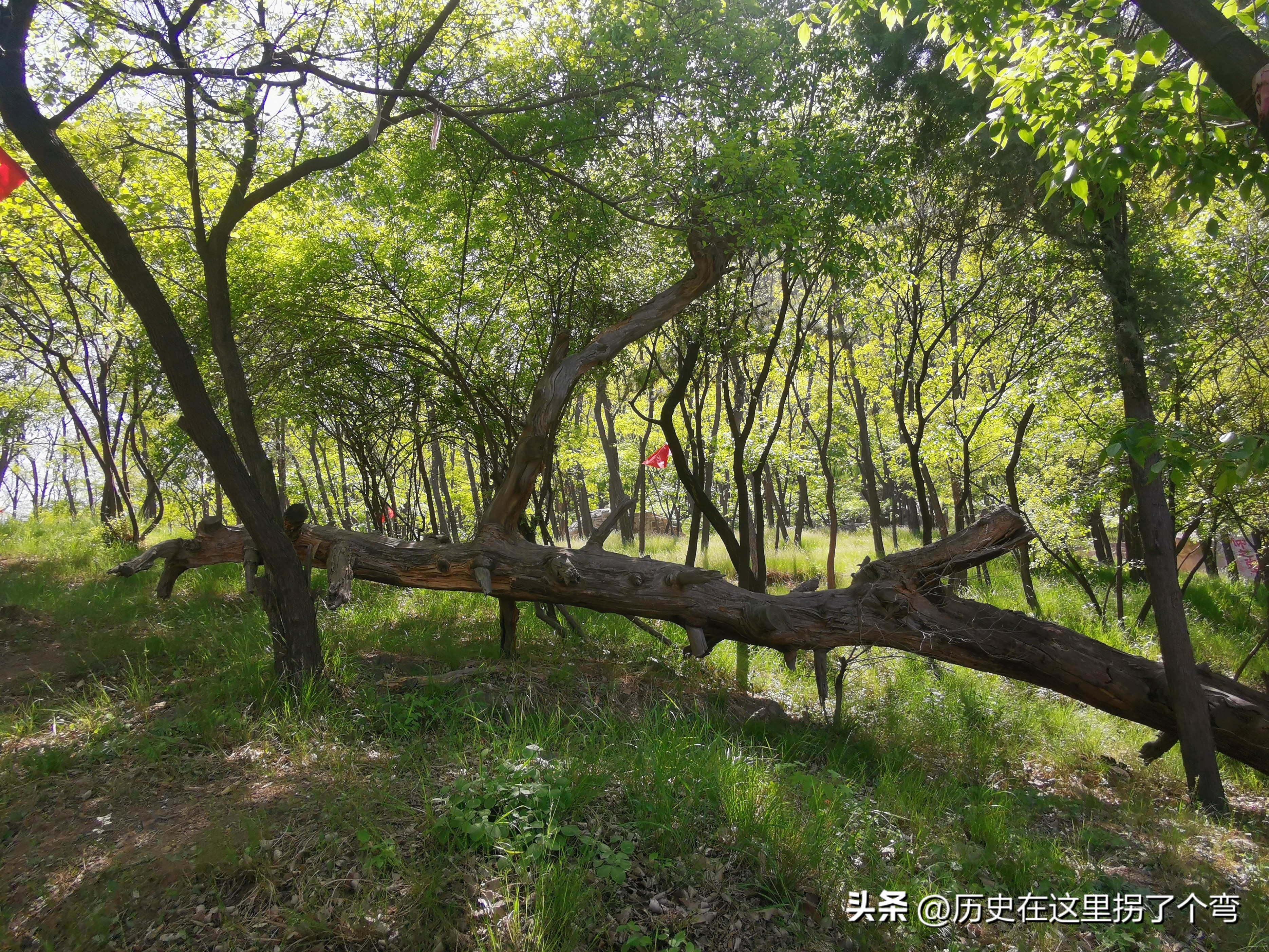 五味杂陈的心情文案,五味杂陈下一句怎么接