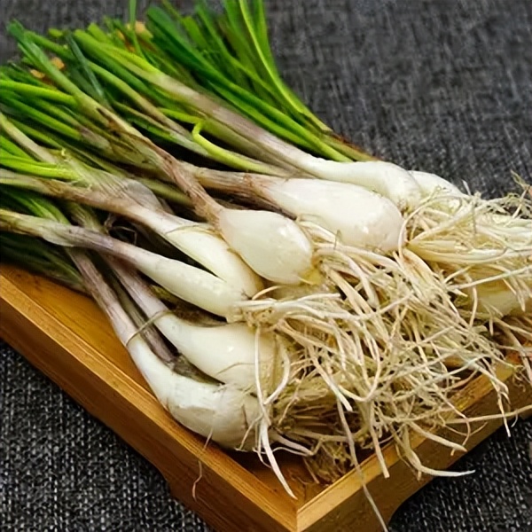 注意！这5种春菜要当心！吃对是美味，吃错是“毒药”