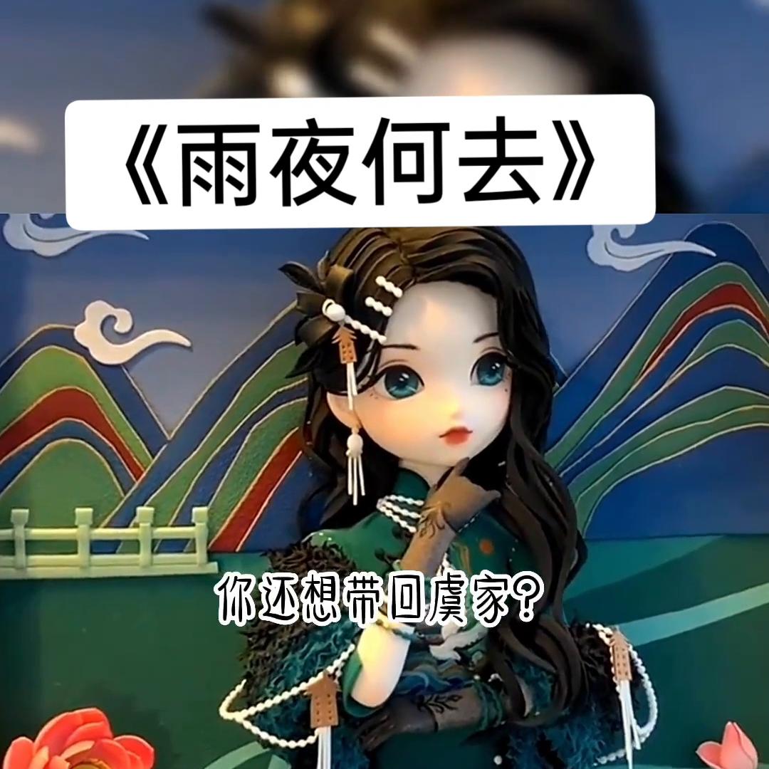 书名《雨夜何去》#解压
