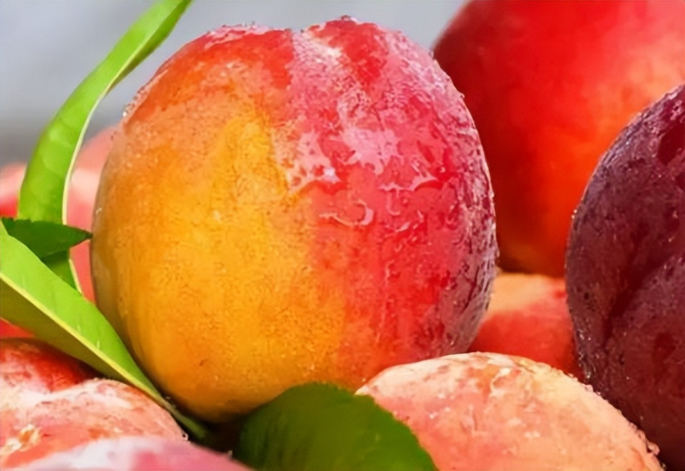 桃子四种人不宜吃,桃子哪些患者不能吃