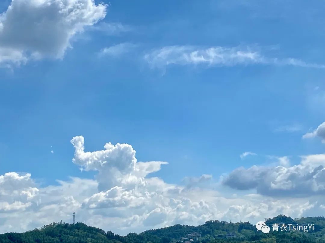 当狮子遇上水瓶,当水瓶和狮子碰在一起会怎么样