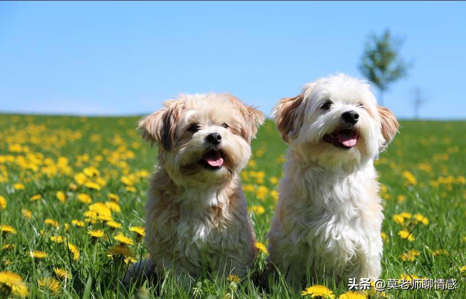 老公出轨有什么表现和特征,老公出轨屡次被发现他是什么心理