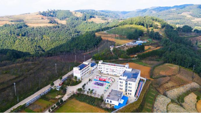 大美小鸟专卖店,大美小鸟五一活动