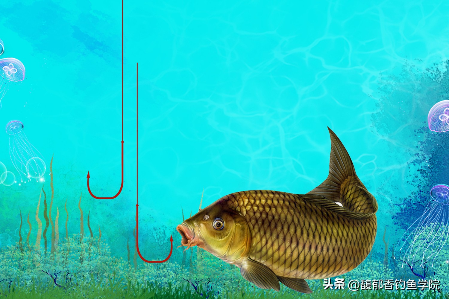 为什么鱼线总比竿子长很多,鱼线为什么老是涨号