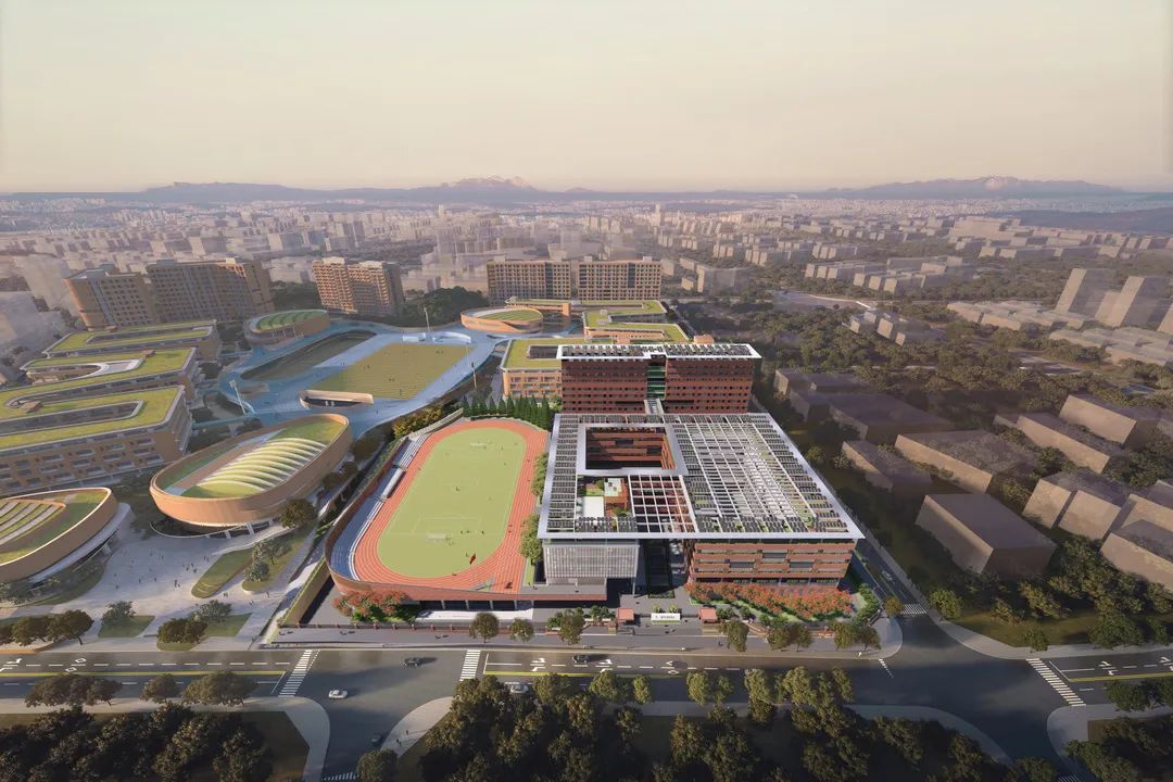 中考志愿普高能报几个学校,中考填报志愿热门专业