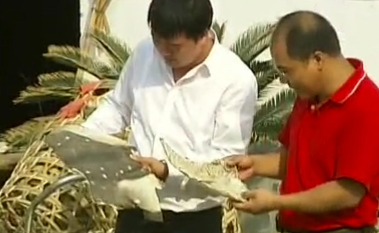 中国“鲨鱼村”的聪明商人：加工迷你“小鲨鱼”，年入3000万