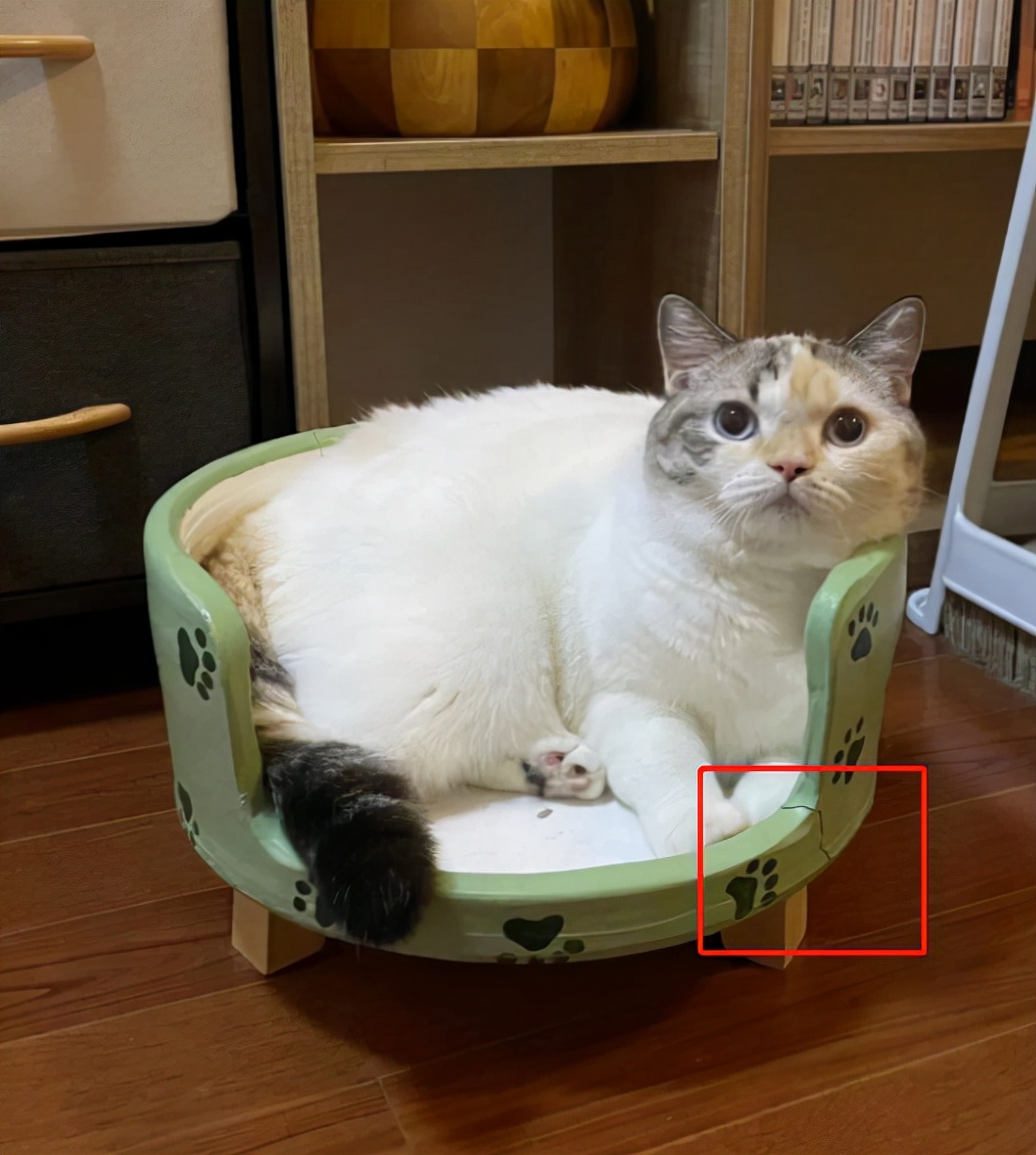 花1.4万吃了顿午饭后，全国人民都知道我了哈哈哈哈