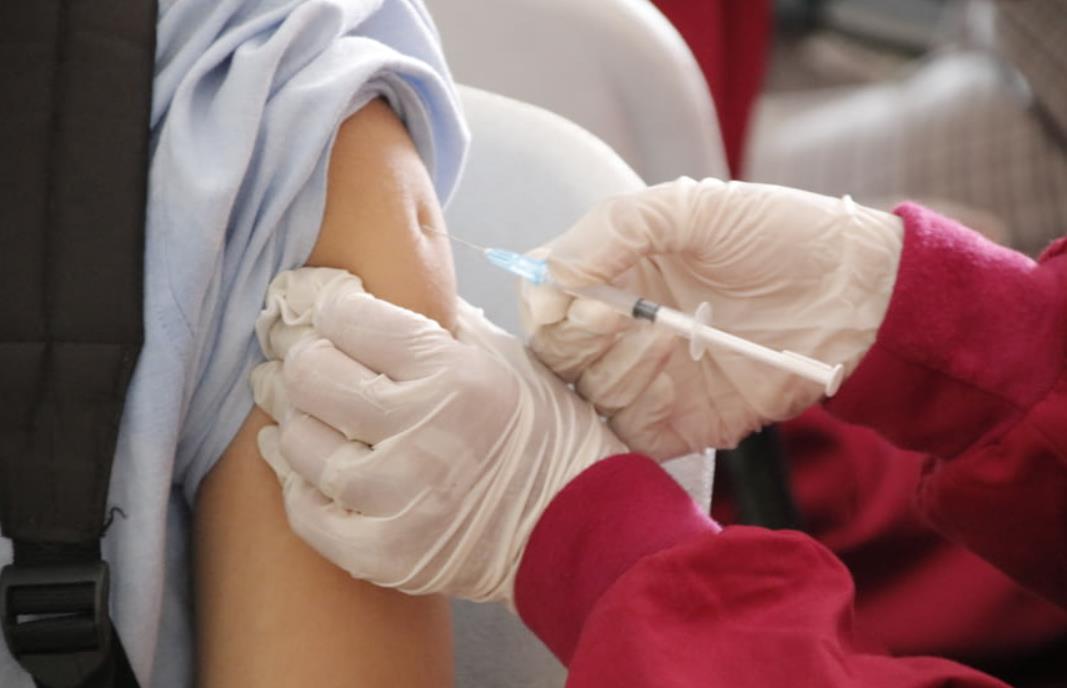 疫苗上市企业,国内生产疫苗的龙头上市公司